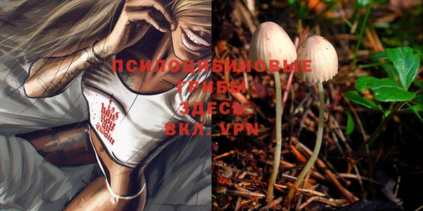 a pvp Нефтекумск
