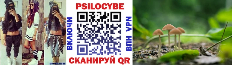Псилоцибиновые грибы Cubensis  Мегион 